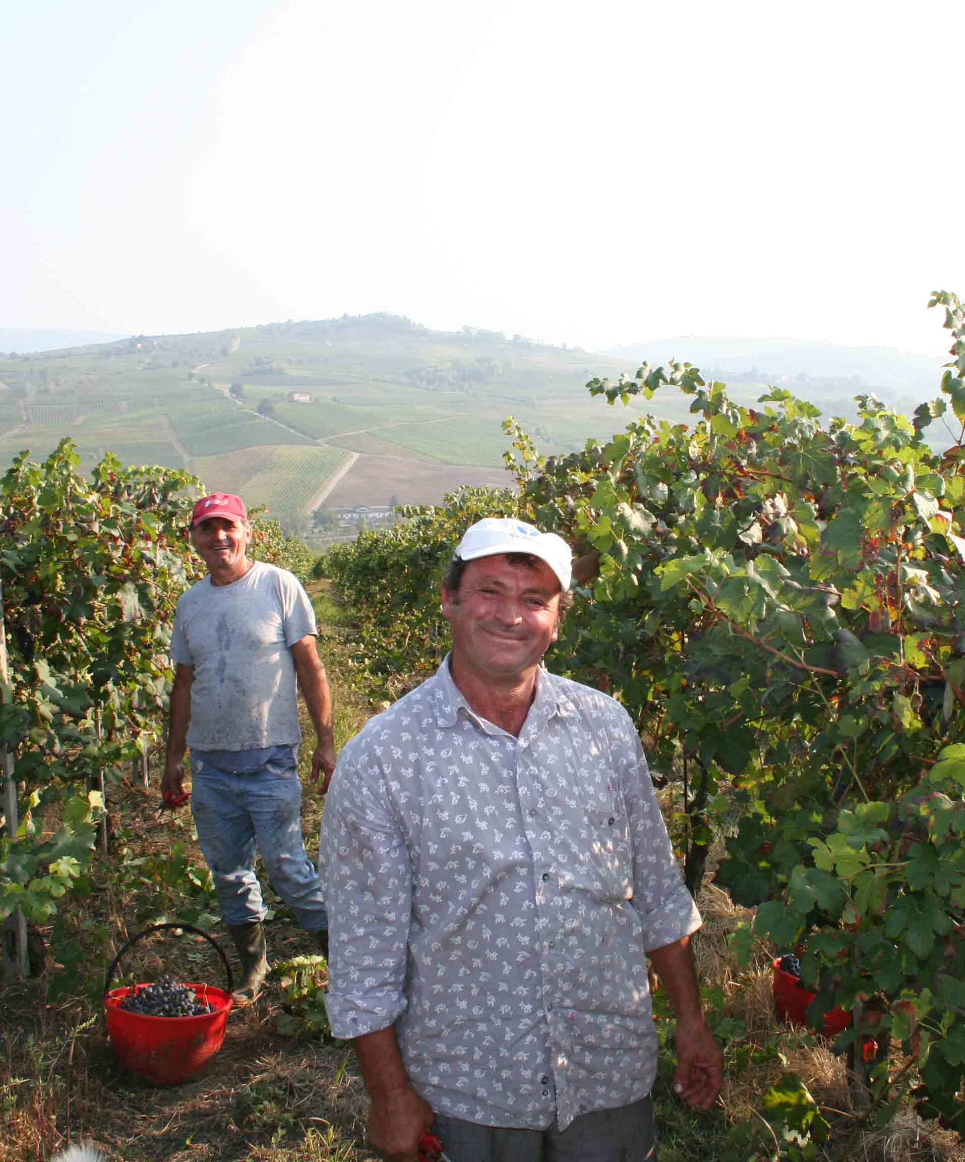 Arbeiter im Weingarten